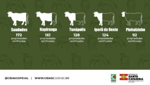 Santa Catarina tem a menor prevalência para brucelose e tuberculose nos rebanhos bovinos do Brasil Santa Catarina tem a menor prevalência para brucelose e tuberculose nos rebanhos bovinos do Brasil