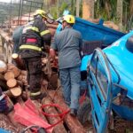 Motorista perde controle do freio e caminhão desgovernado colide contra coqueiros