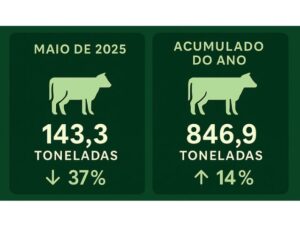 Santa Catarina registra queda pontual no preço do boi gordo após meses de alta