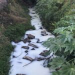Fumaf acompanha ocorrência de espuma em rio de Morro da Fumaça