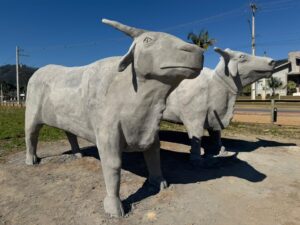 Pedras Grandes inaugura carro de boi mais pesado do mundo em homenagem à agricultura familiar