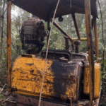 Operação Mata Atlântica em Pé 2025 identifica 192 hectares de desmatamento irregular em Santa Catarina