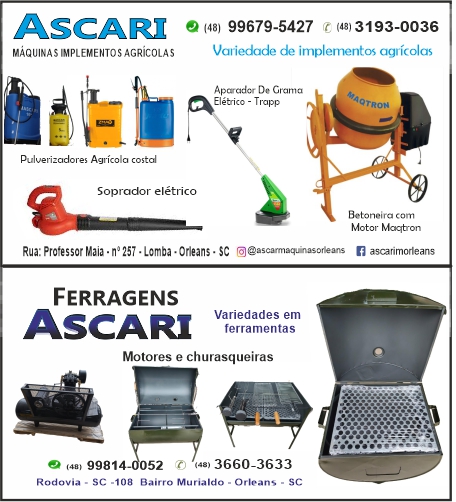 Categoria Geral