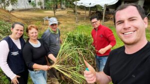 Orleans realiza plantio de citronela como medida de prevenção à dengue