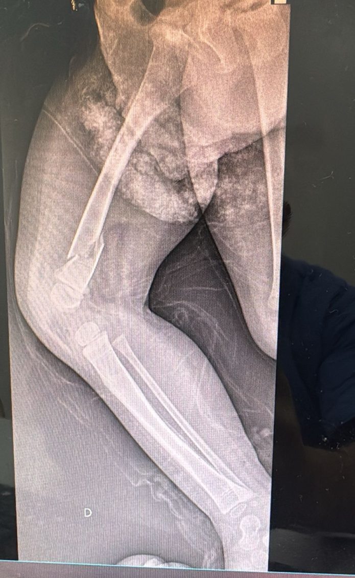 IMG-20251101-WA0006-696x1237