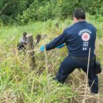 Homem morre após picada de inseto em área de mata em Treviso