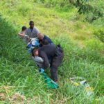 Homem morre após picada de inseto em área de mata em Treviso