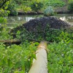 Bombeiros atuam em várias ocorrências após temporal em Orleans Bombeiros atuam em várias ocorrências após temporal em Orleans