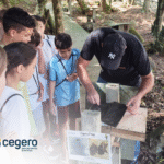 Cegero promove experiência educativa e sustentável para mais de 150 crianças no Espaço Mel