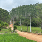 Implantação de novos alimentadores liga subestação da Coorsel a Pedras Grandes e Orleans