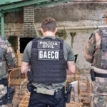 Operação Aruana mira tráfico de animais e cumpre mandados em cinco estados