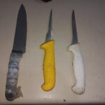 Quatro homens são presos por tentativa de furto de gado