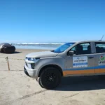 Baleia-de-Bryde é encontrada morta em praia de Jaguaruna Baleia-de-Bryde é encontrada morta em praia de Jaguaruna
