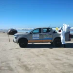 Baleia-de-Bryde é encontrada morta em praia de Jaguaruna Baleia-de-Bryde é encontrada morta em praia de Jaguaruna