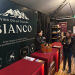 A vinícola de Orleans apresenta seus vinhos vencedores, sucos e espumantes na Feagro 2026 A vinícola de Orleans apresenta seus vinhos vencedores, sucos e espumantes na Feagro 2026