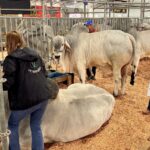 Unibave recebe homenagem na abertura da 15ª Feira AgroPonte Unibave recebe homenagem na abertura da 15ª Feira AgroPonte