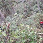 Jovem fica ferido por motosserra em Rio Fortuna